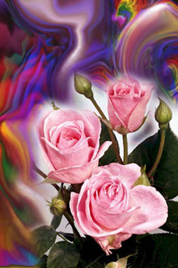 Une amiti� si compliqu�e...